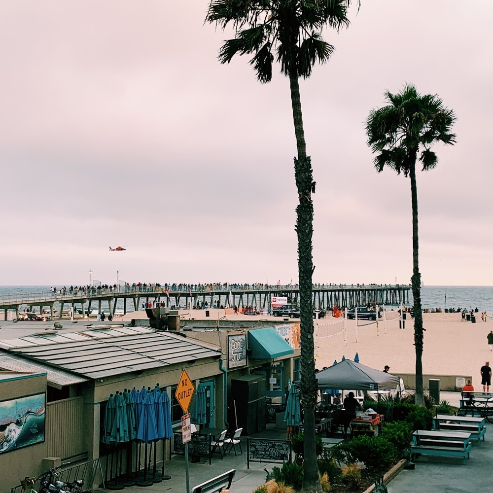 Meet your Posher, Taylor